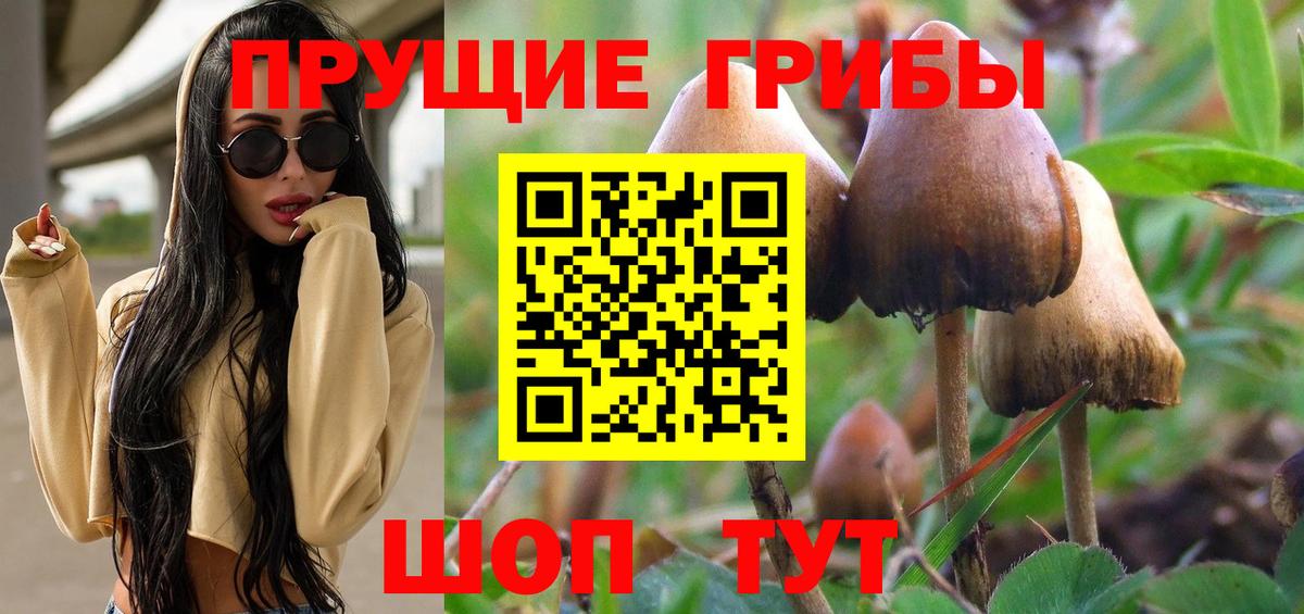 Карпинск  Галлюциногенные грибы Psilocybe  Вход с VPN 