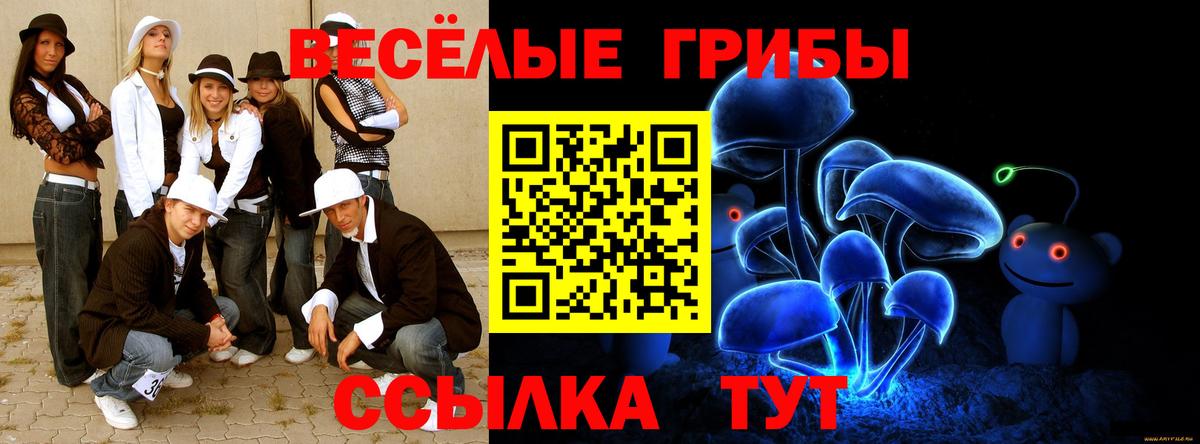 Псилоцибиновые грибы MAGIC MUSHROOMS Карпинск